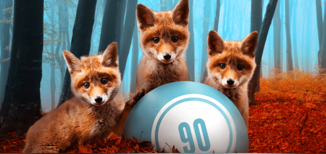 foxy bingo free Â5