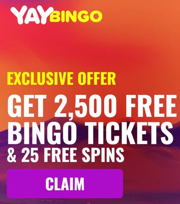 YayBingo exclusive offer
